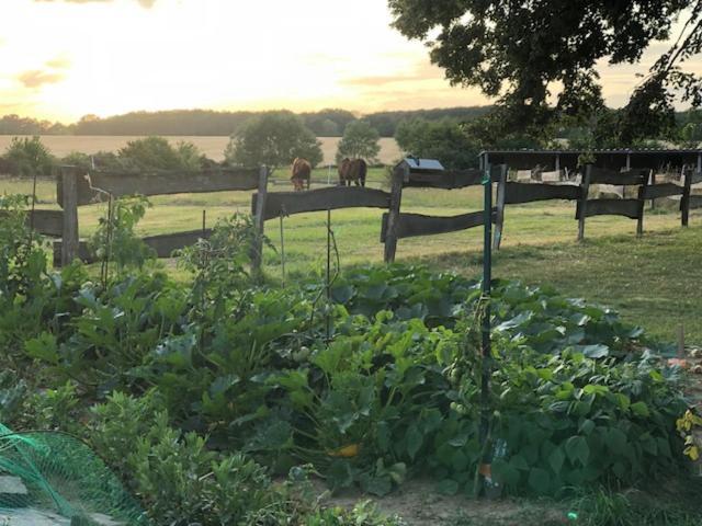 Le Spa Est Dans Le Pre Trigueres Extérieur photo